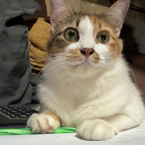 สมาชิกหมายเลข 8727662