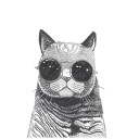 สมาชิกหมายเลข 4572132