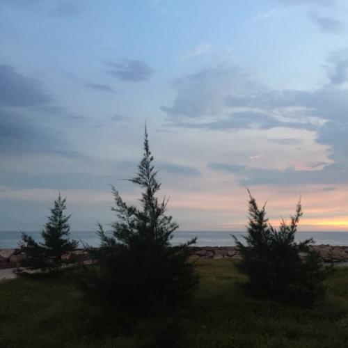 สมาชิกหมายเลข 2500408