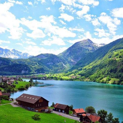 สมาชิกหมายเลข 4662452