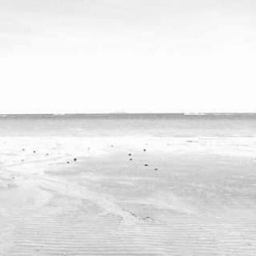 สมาชิกหมายเลข 5771113