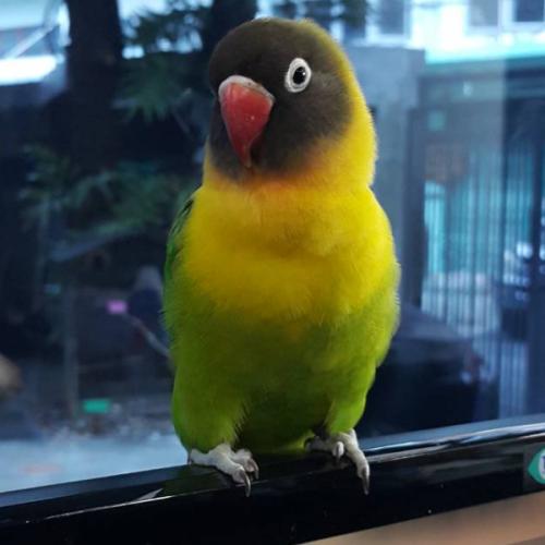 สมาชิกหมายเลข 1770403