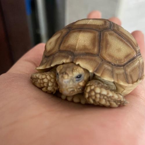 สมาชิกหมายเลข 6347139