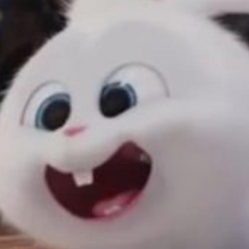 สมาชิกหมายเลข 7048212