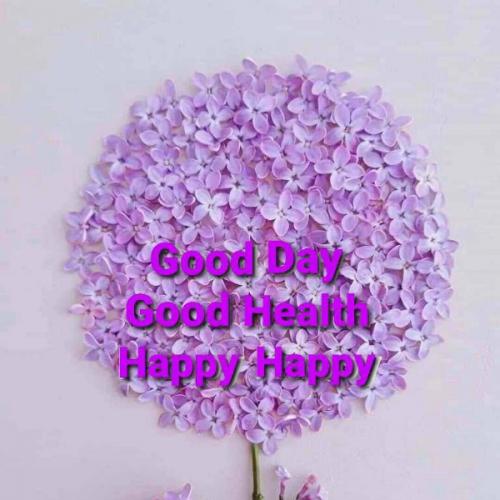 สมาชิกหมายเลข 5456117