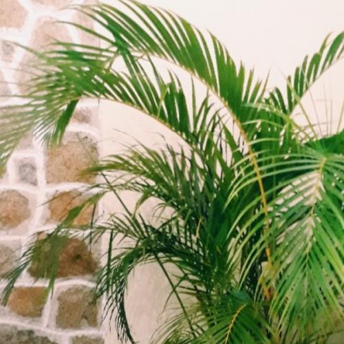 สมาชิกหมายเลข 7826245