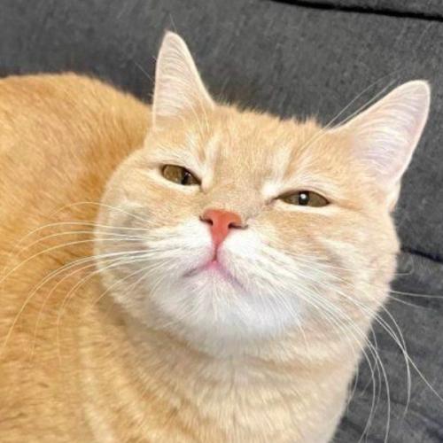 สมาชิกหมายเลข 7759368