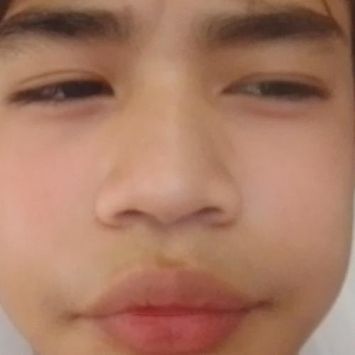 สมาชิกหมายเลข 8480655