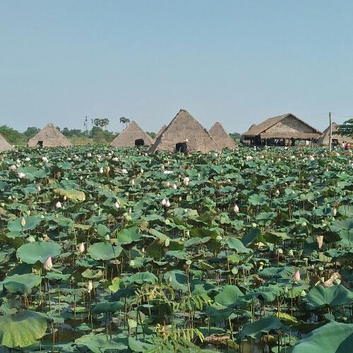 สมาชิกหมายเลข 4406333