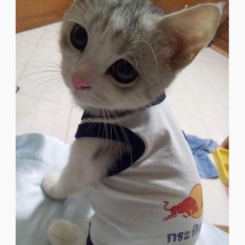 สมาชิกหมายเลข 1259686