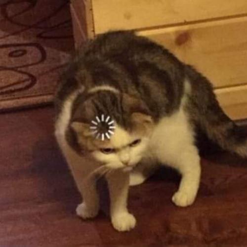 สมาชิกหมายเลข 4604207