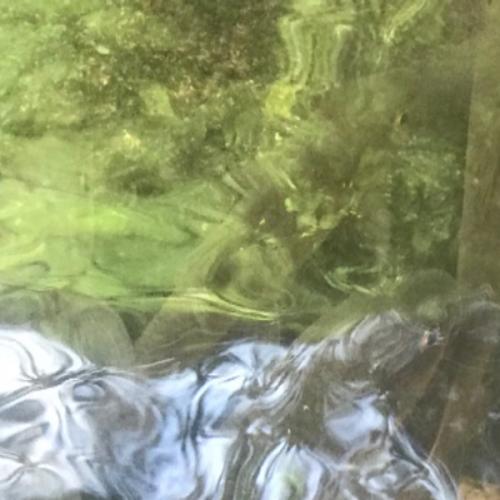 สมาชิกหมายเลข 5773146