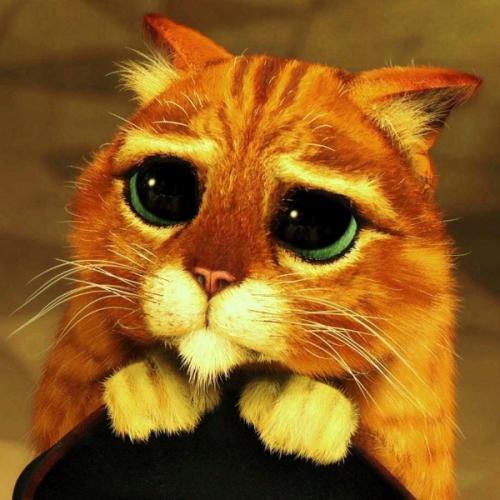 สมาชิกหมายเลข 1675120