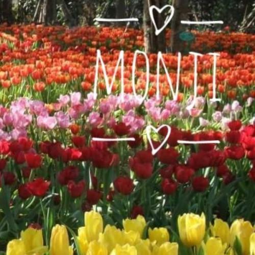 สมาชิกหมายเลข 2983926