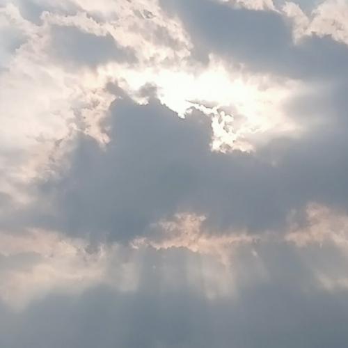 สมาชิกหมายเลข 6370329