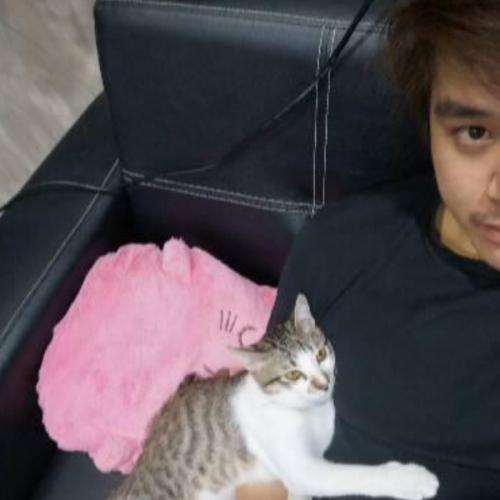 สมาชิกหมายเลข 6370724