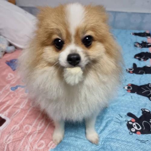 สมาชิกหมายเลข 6888191