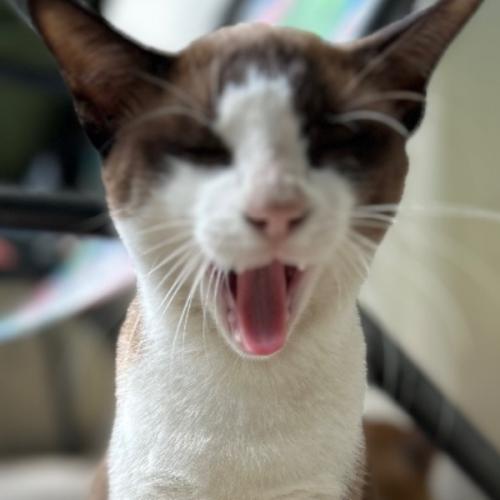 สมาชิกหมายเลข 7828380