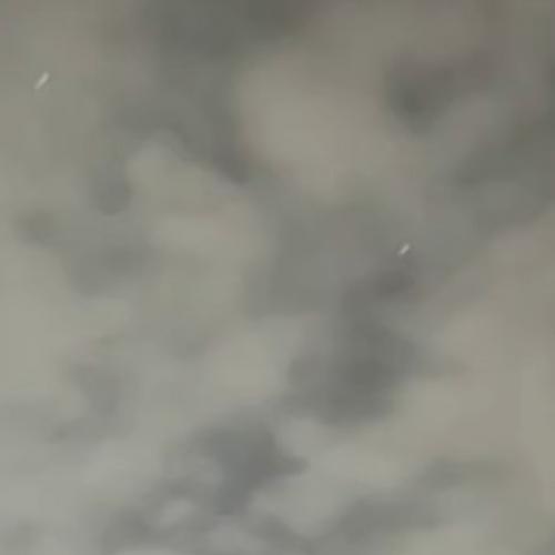 สมาชิกหมายเลข 7828988