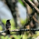 สมาชิกหมายเลข 3638322