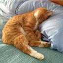 สมาชิกหมายเลข 3008222