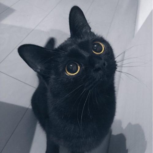 สมาชิกหมายเลข 2698863