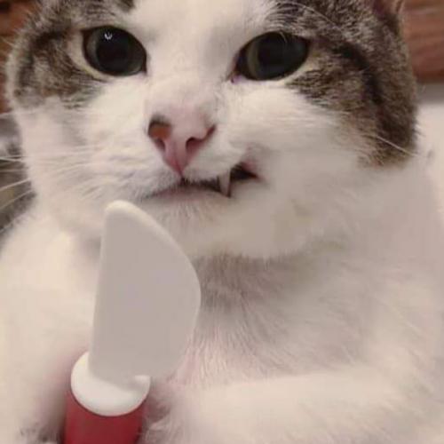 สมาชิกหมายเลข 2687807