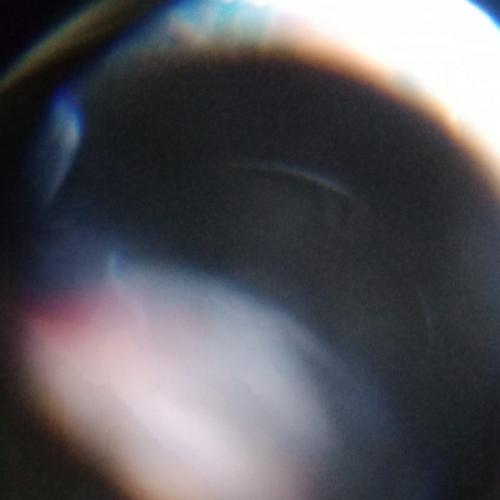 สมาชิกหมายเลข 5773538