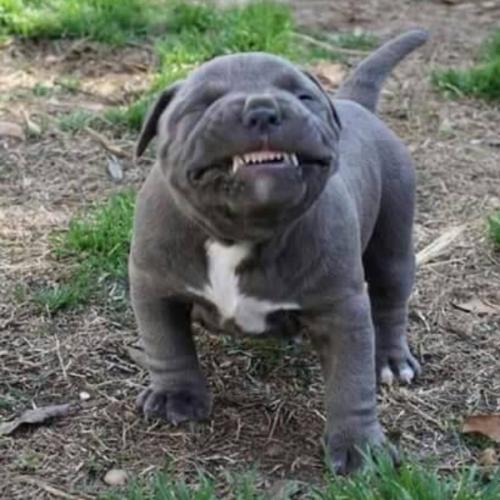 สมาชิกหมายเลข 3037473