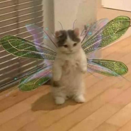 สมาชิกหมายเลข 5948079