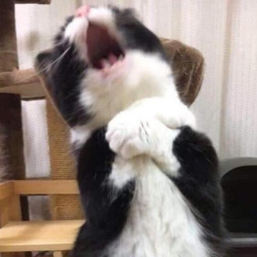 สมาชิกหมายเลข 6371444