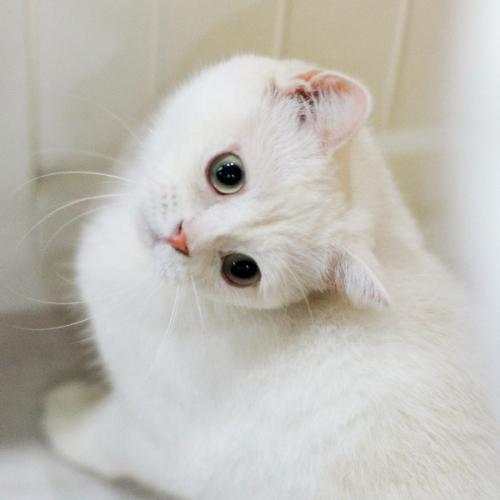 สมาชิกหมายเลข 7056929