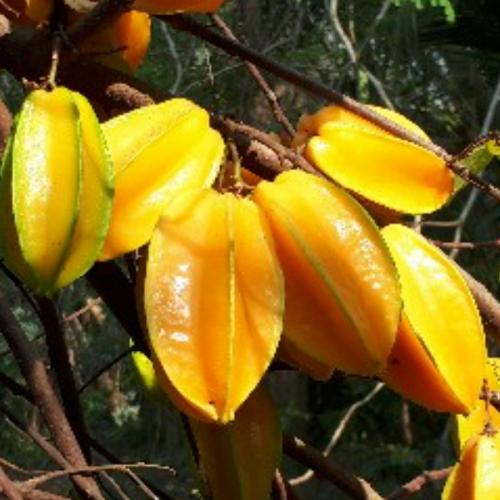 สมาชิกหมายเลข 6479276