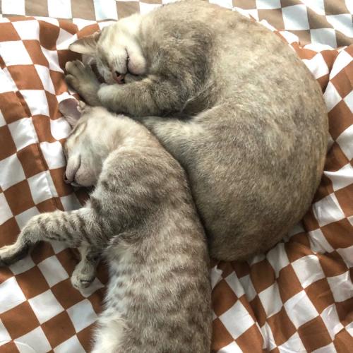 สมาชิกหมายเลข 7121641