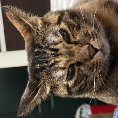 สมาชิกหมายเลข 7755055