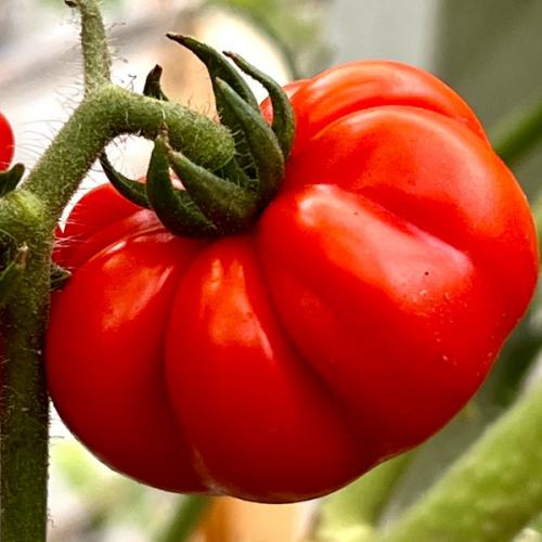 สมาชิกหมายเลข 7801174