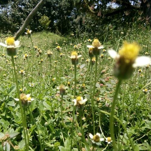 สมาชิกหมายเลข 4572456