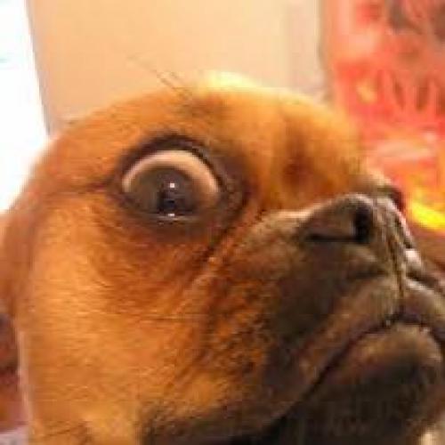 สมาชิกหมายเลข 1560531