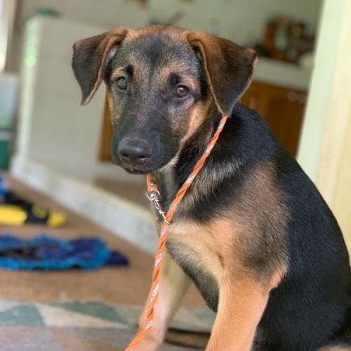 สมาชิกหมายเลข 2443145