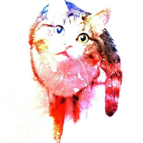 สมาชิกหมายเลข 4714564