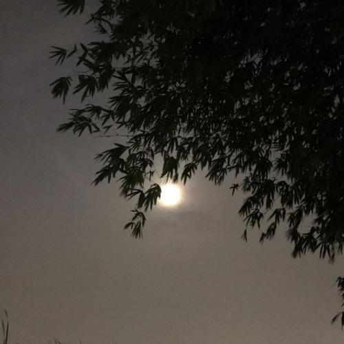 สมาชิกหมายเลข 4915300