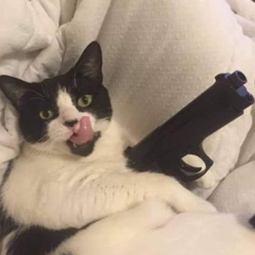 ยืนงงในดงดอกไม้