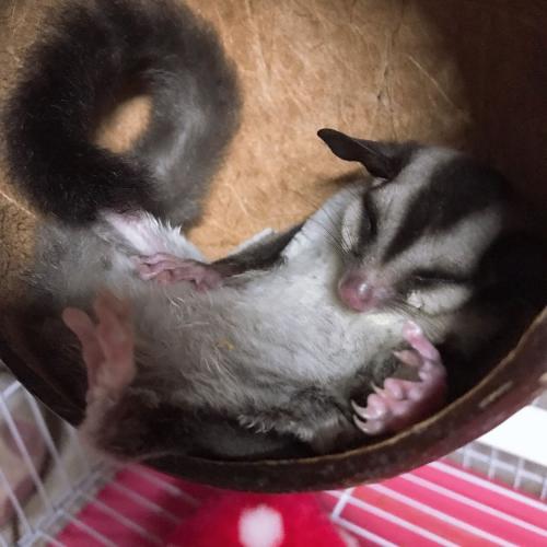 สมาชิกหมายเลข 4995102