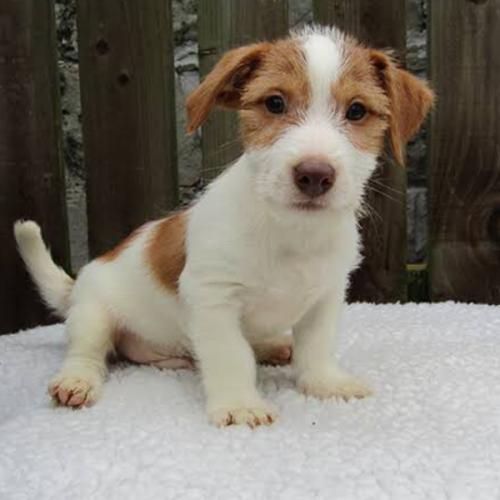 Tomorrow is too late