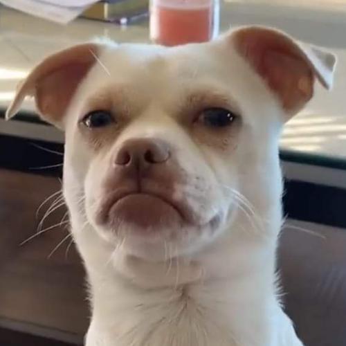 สมาชิกหมายเลข 5774292