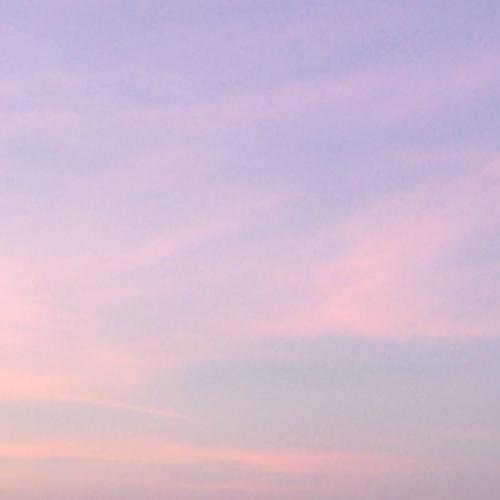 สมาชิกหมายเลข 4833192