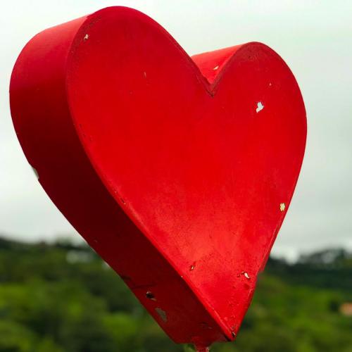 สมาชิกหมายเลข 4956537