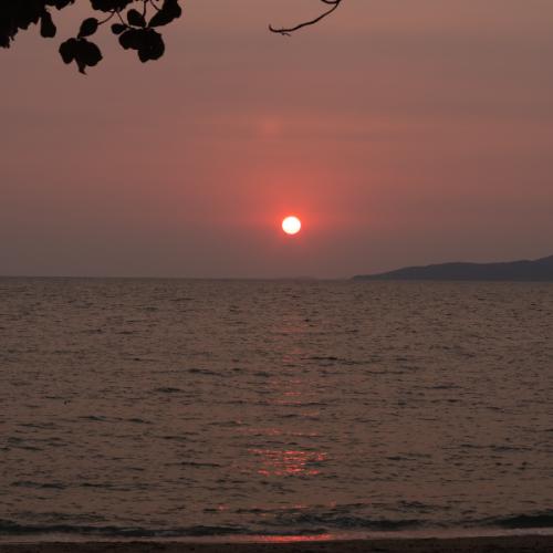 สมาชิกหมายเลข 6371741