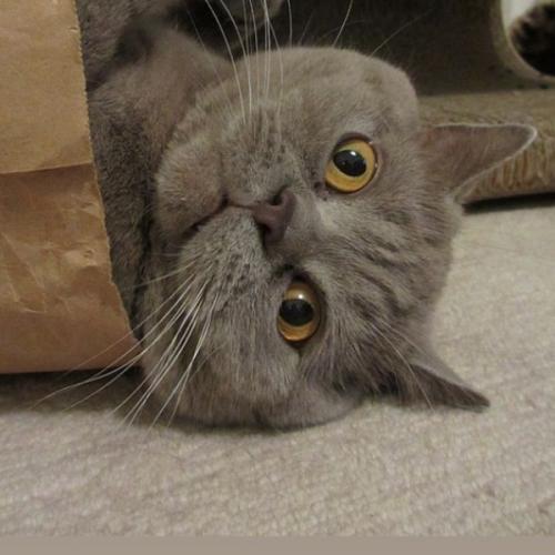 สมาชิกหมายเลข 6371751