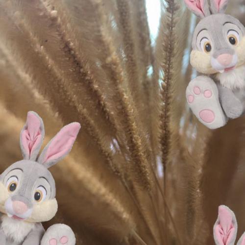 สมาชิกหมายเลข 6372055